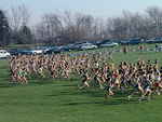 083 - a sea of runners