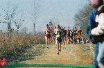 bak leading into mile 2 3