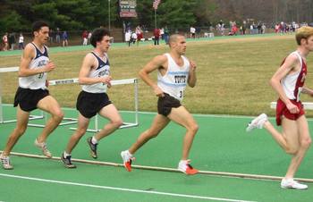 berman in the 1500