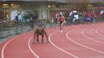 LeQuan 4x400 start