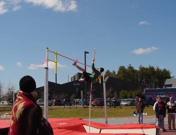 macnow vaulting